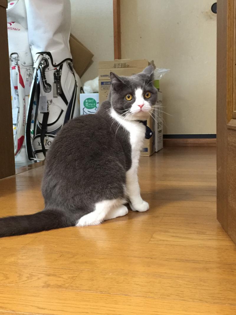 https://www.fco.co.jp/wp/wp-content/uploads/mt/president/blog_images/IMG_1955.JPG
