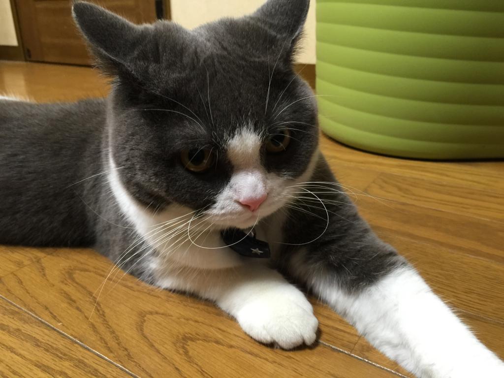 https://www.fco.co.jp/wp/wp-content/uploads/mt/president/blog_images/IMG_2055.JPG
