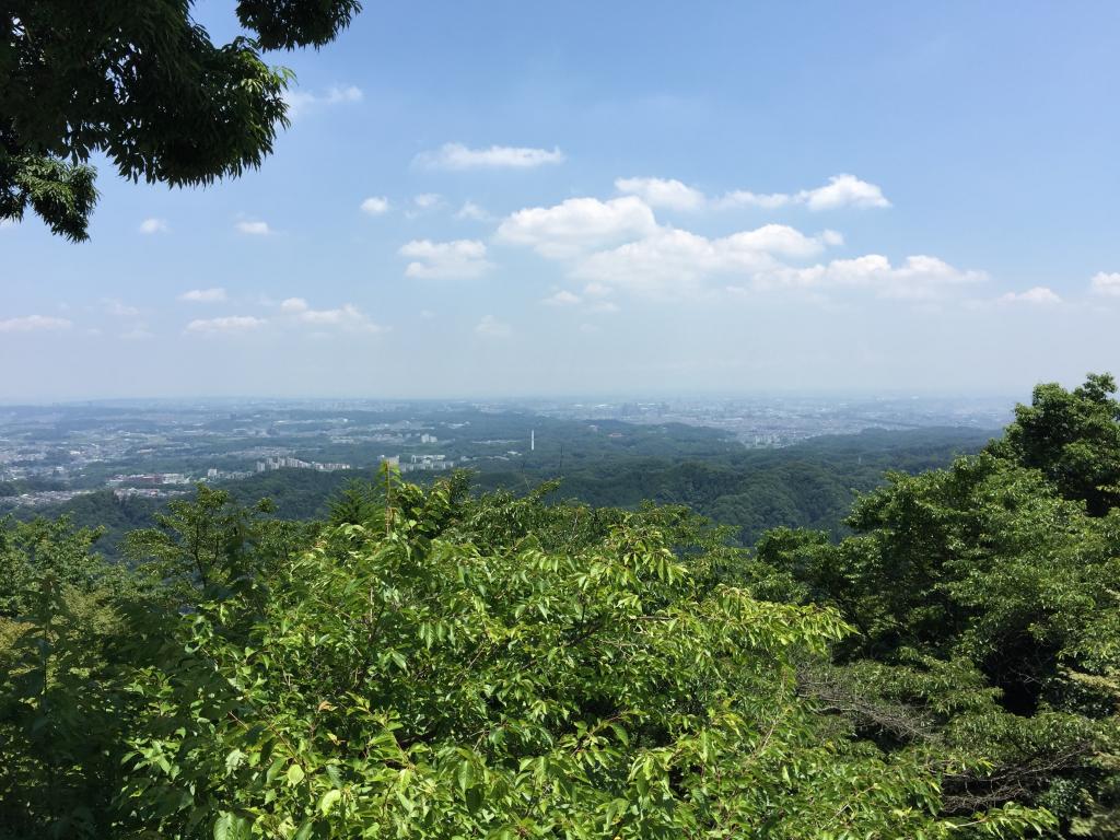 https://www.fco.co.jp/wp/wp-content/uploads/mt/president/blog_images/IMG_2247.JPG