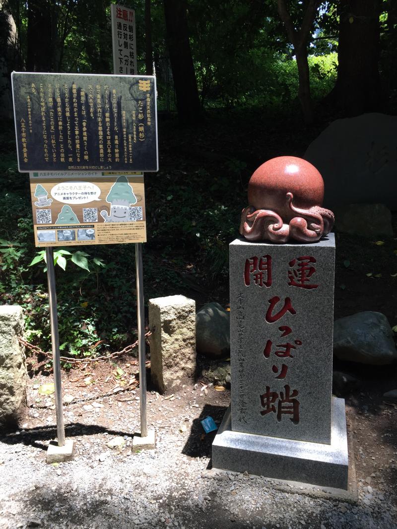 https://www.fco.co.jp/wp/wp-content/uploads/mt/president/blog_images/IMG_2256.JPG