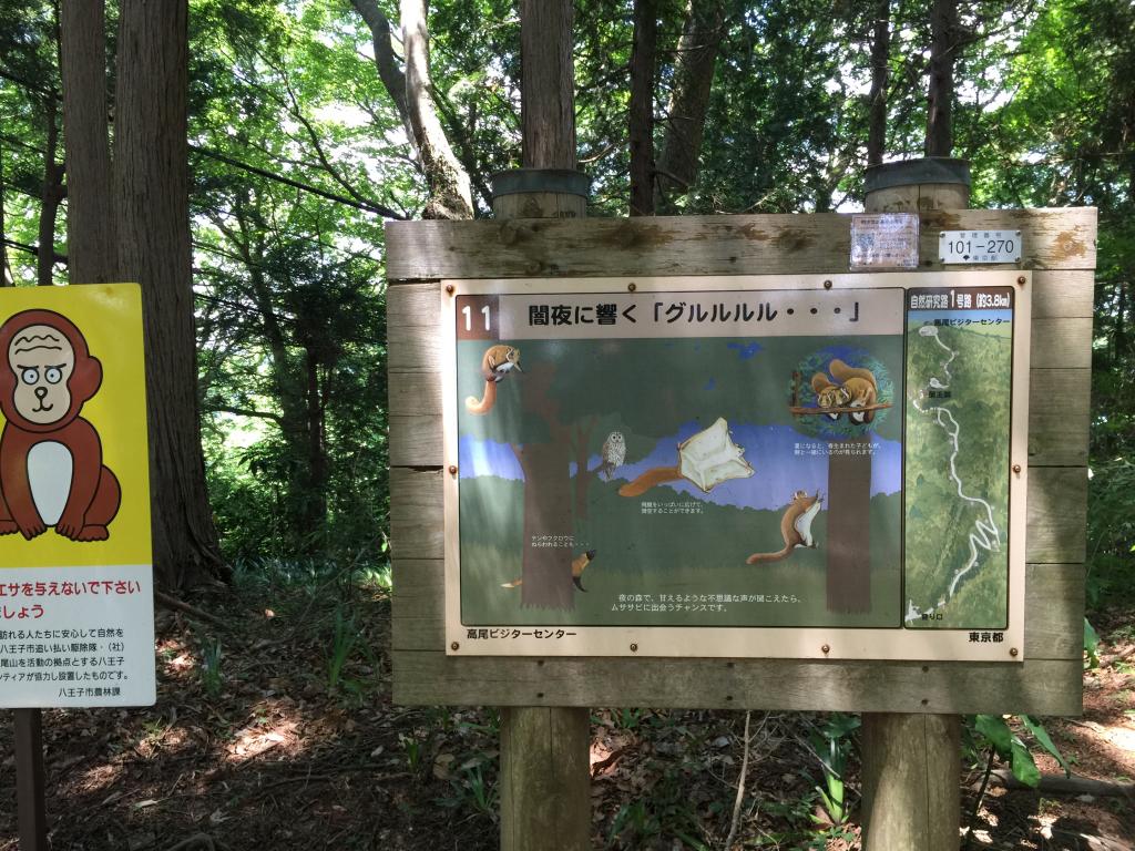 https://www.fco.co.jp/wp/wp-content/uploads/mt/president/blog_images/IMG_2298.JPG