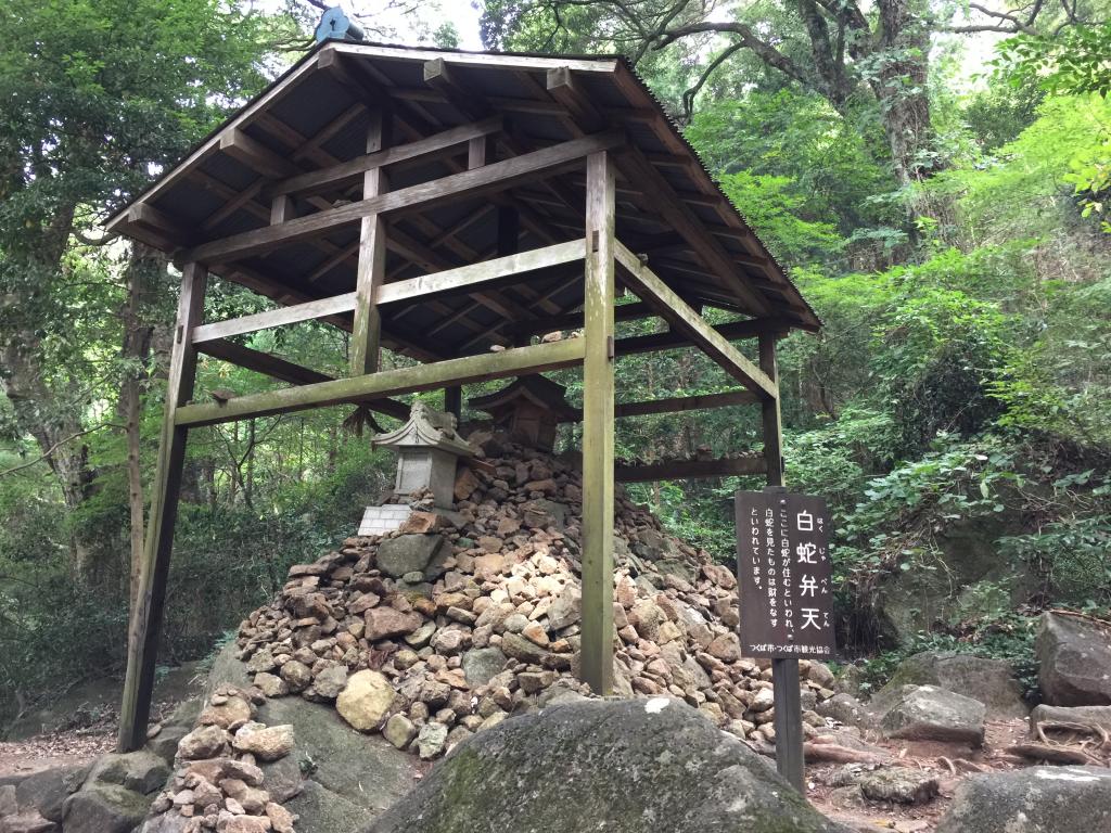 https://www.fco.co.jp/wp/wp-content/uploads/mt/president/blog_images/IMG_3061.JPG