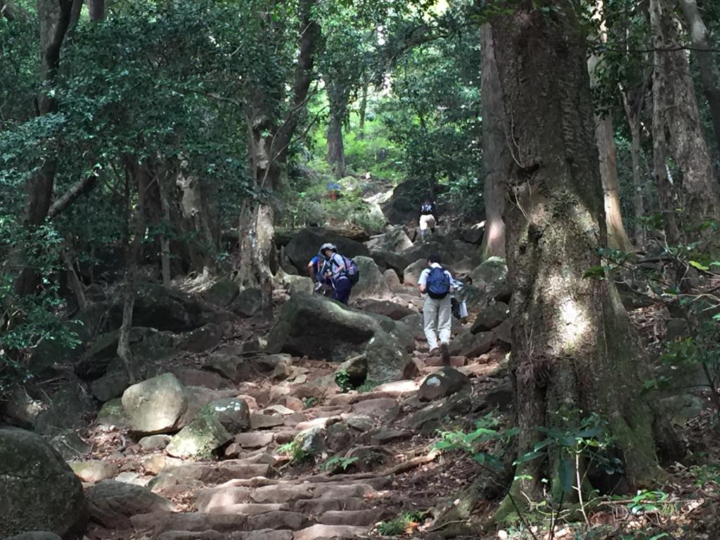 https://www.fco.co.jp/wp/wp-content/uploads/mt/president/blog_images/IMG_3068.JPG