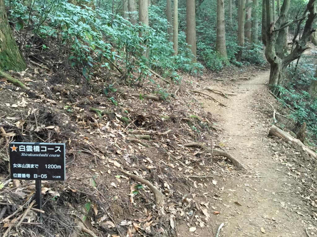 https://www.fco.co.jp/wp/wp-content/uploads/mt/president/blog_images/IMG_3071.JPG