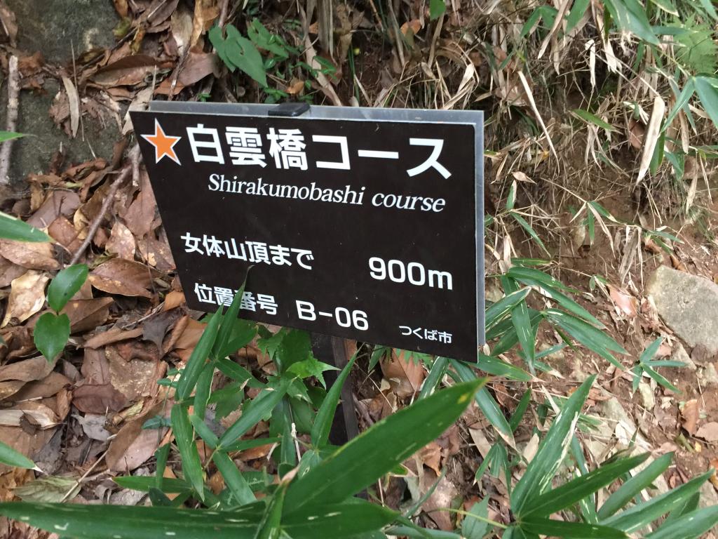 https://www.fco.co.jp/wp/wp-content/uploads/mt/president/blog_images/IMG_3078.JPG