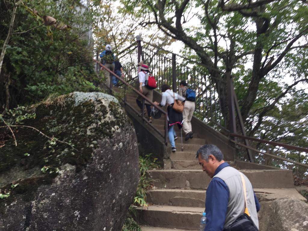 https://www.fco.co.jp/wp/wp-content/uploads/mt/president/blog_images/IMG_3119.JPG