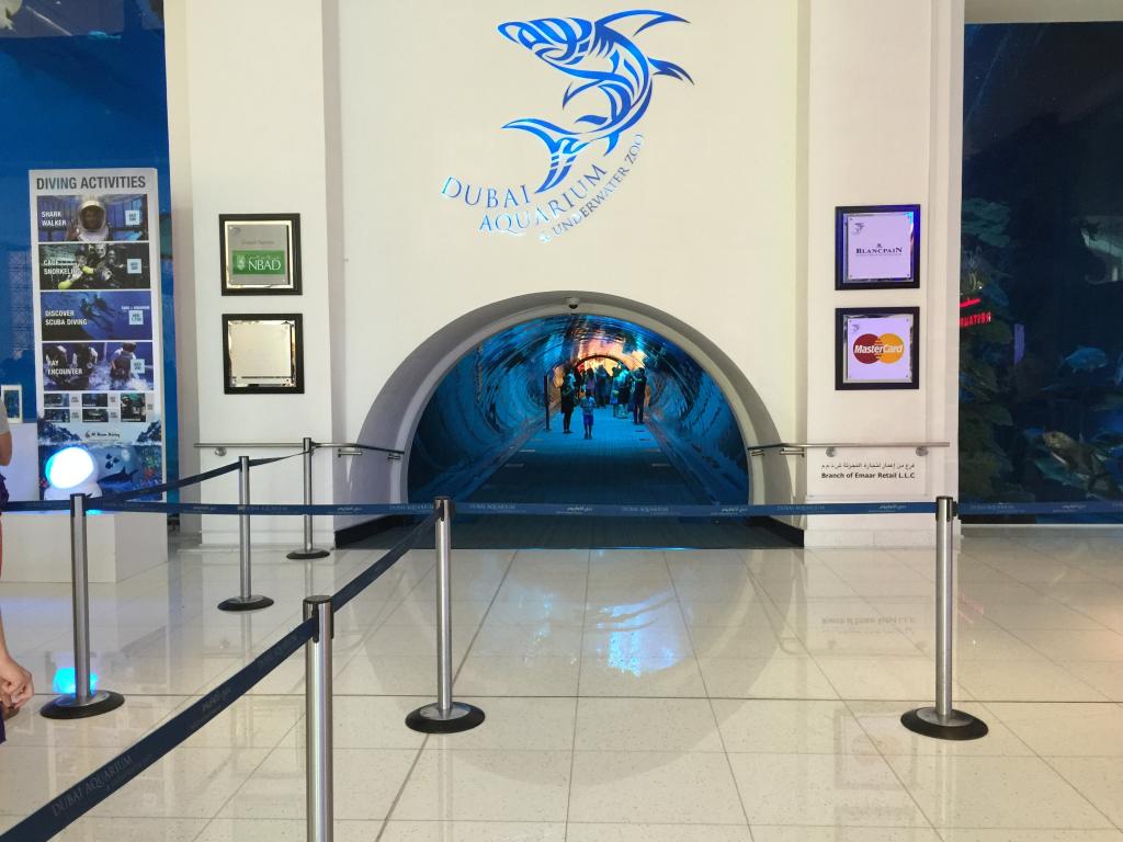 https://www.fco.co.jp/wp/wp-content/uploads/mt/president/blog_images/IMG_4919.JPG