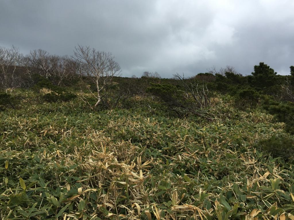 https://www.fco.co.jp/wp/wp-content/uploads/mt/president/blog_images/IMG_5190.JPG