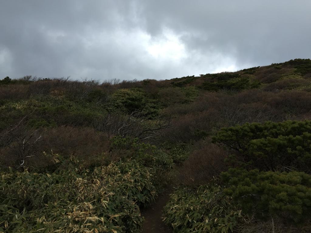 https://www.fco.co.jp/wp/wp-content/uploads/mt/president/blog_images/IMG_5195.JPG