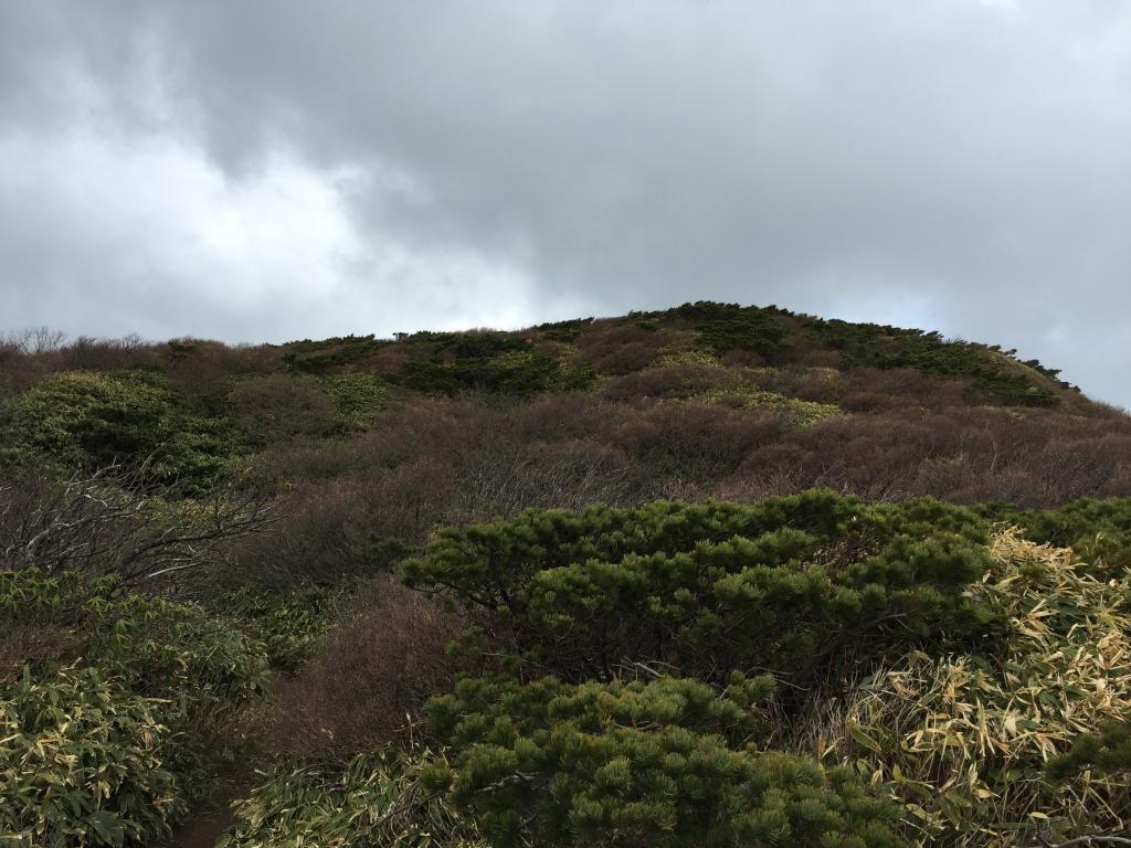 https://www.fco.co.jp/wp/wp-content/uploads/mt/president/blog_images/IMG_5196.JPG