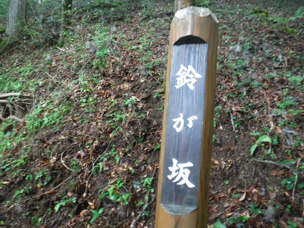 https://www.fco.co.jp/wp/wp-content/uploads/mt/president/blog_images/IMG_5608.JPG