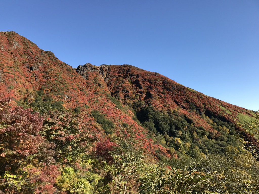 https://www.fco.co.jp/wp/wp-content/uploads/mt/president/blog_images/IMG_7899.JPG