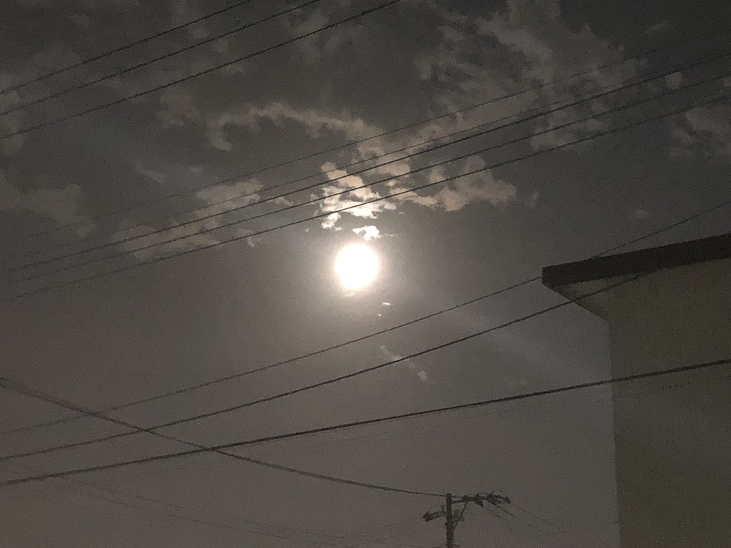https://www.fco.co.jp/wp/wp-content/uploads/mt/president/blog_images/IMG_9837.JPG