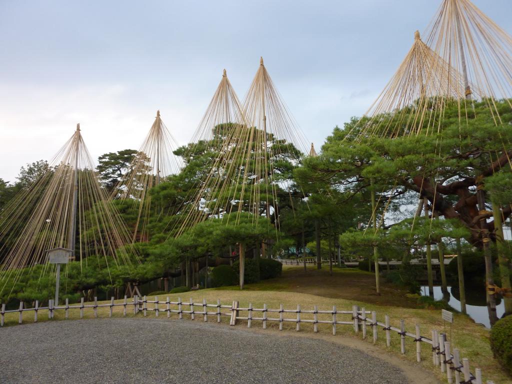 https://www.fco.co.jp/wp/wp-content/uploads/mt/president/blog_images/P1010791.JPG