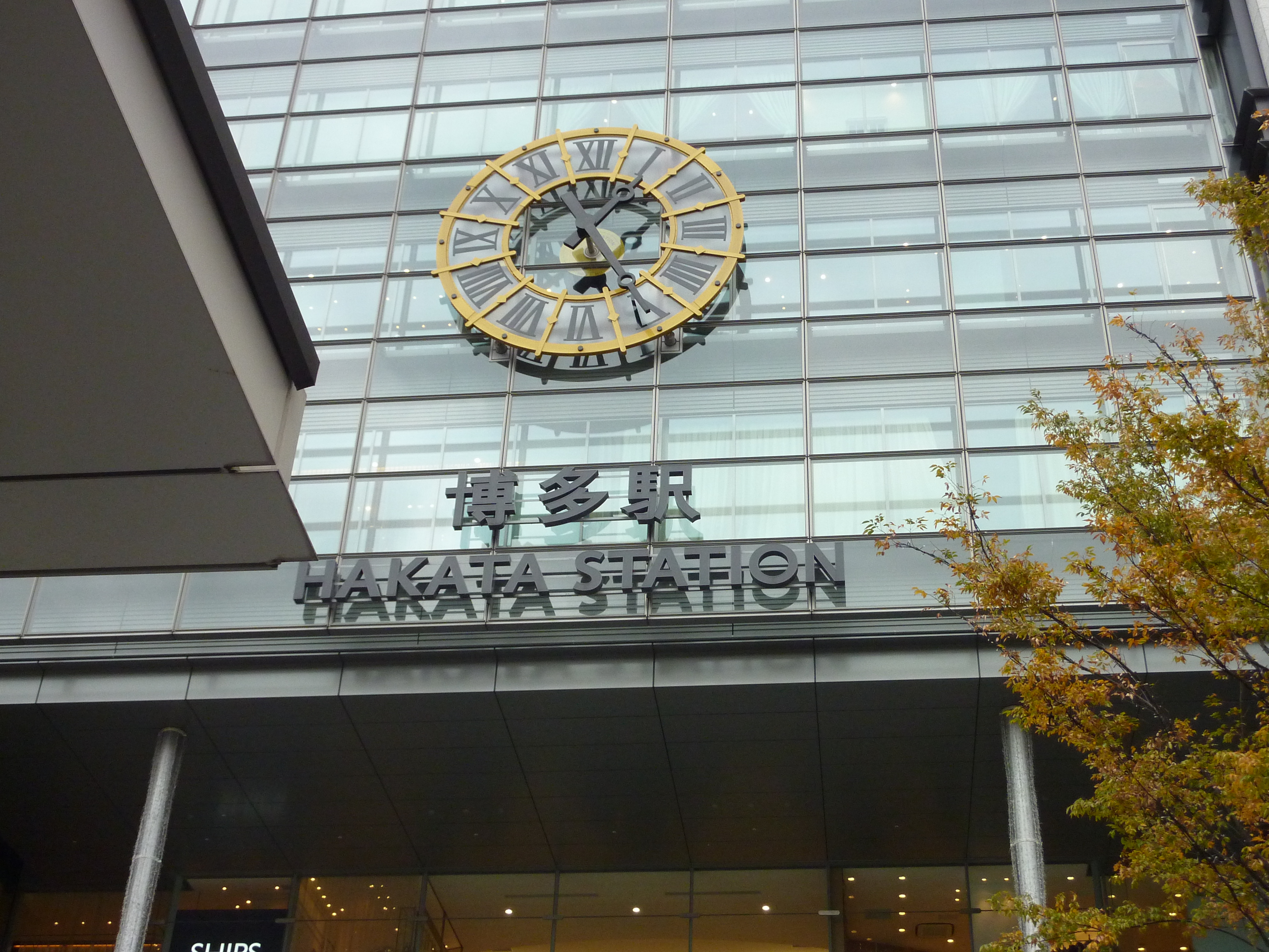 https://www.fco.co.jp/wp/wp-content/uploads/mt/president/blogimages/P1020072.JPG