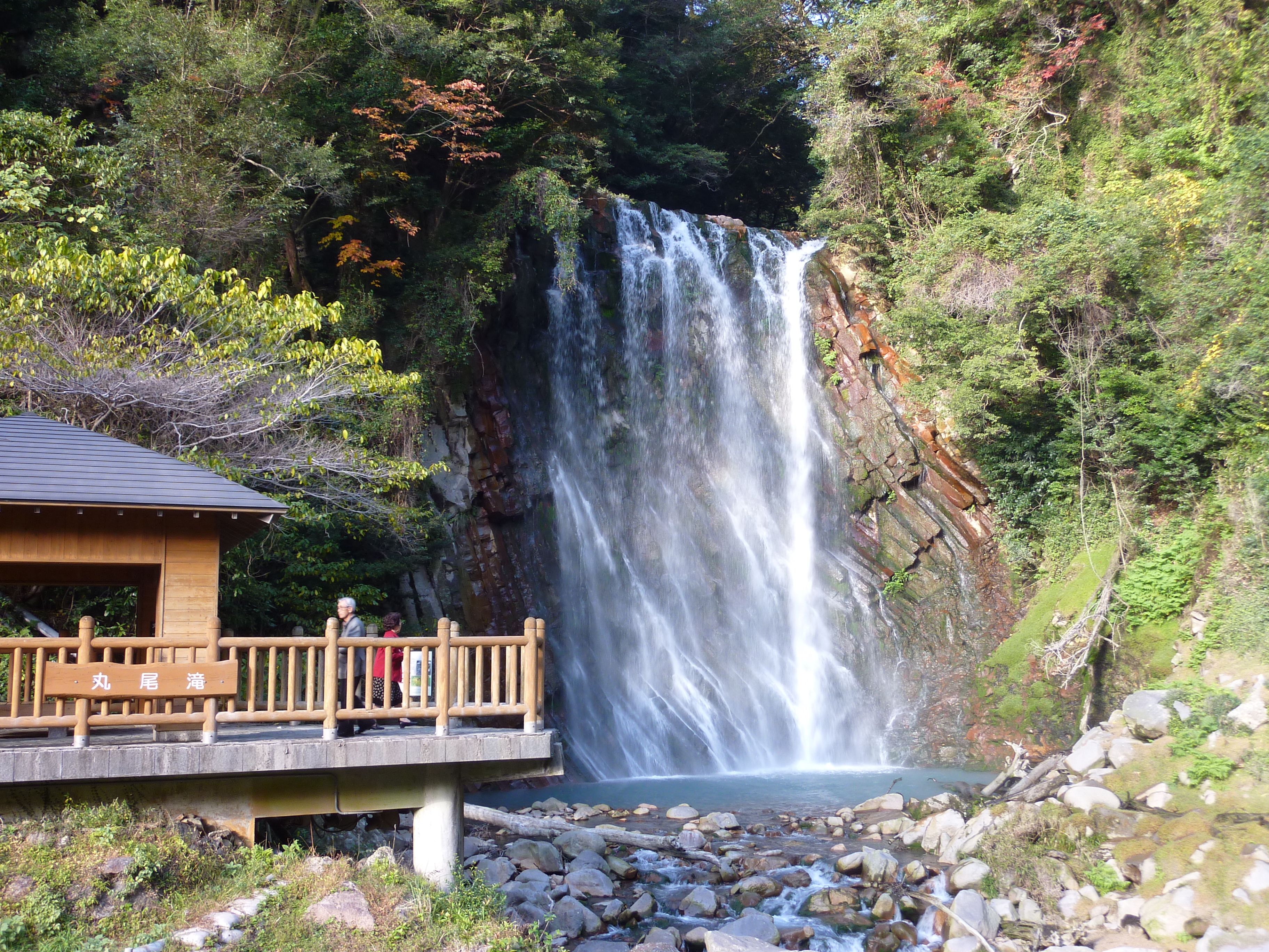 https://www.fco.co.jp/wp/wp-content/uploads/mt/president/blogimages/P1020172.JPG