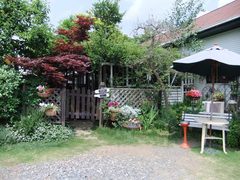 DSCF4680-1.JPG
