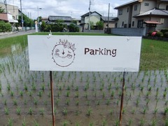 DSCF4682-1.JPG