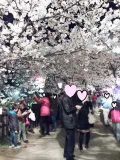 夜桜 - コピー.jpg