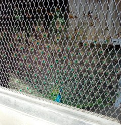IMG_20140413_132927.jpgのサムネイル画像