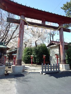 torii.jpg