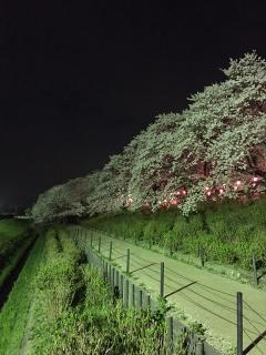 20150407-1.JPG