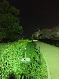 20150407-4.JPG