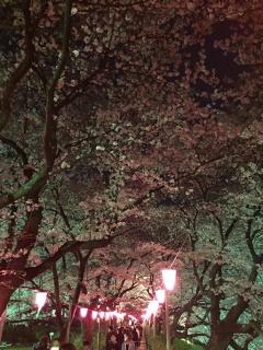 20150407-5.JPG