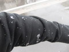 DSCF0823.JPG