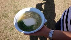 IMG_20151004_104443.jpg