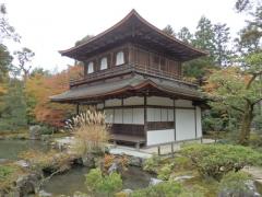 PB130186.JPG