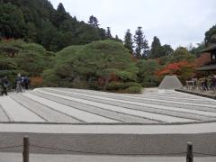 PB130188.JPG