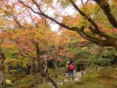 PB130196.JPG
