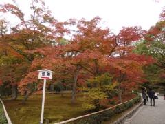 PB130220.JPG