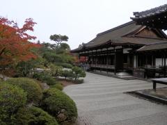 PB130250.JPG