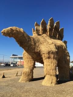 IMG_0032.jpg
