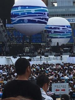 kuma20160822-4.JPG