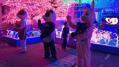 shimu20171211-4.JPG