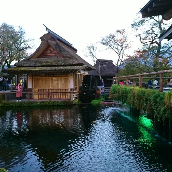 https://www.fco.co.jp/wp/wp-content/uploads/mt/staffblog/blog_images/20181107se-12.jpg