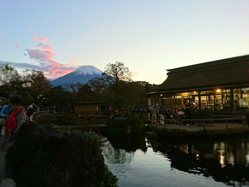 https://www.fco.co.jp/wp/wp-content/uploads/mt/staffblog/blog_images/20181107se-13.jpg