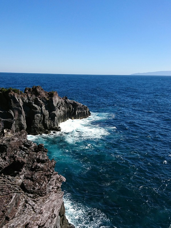 https://www.fco.co.jp/wp/wp-content/uploads/mt/staffblog/blog_images/20181107se-3.jpg