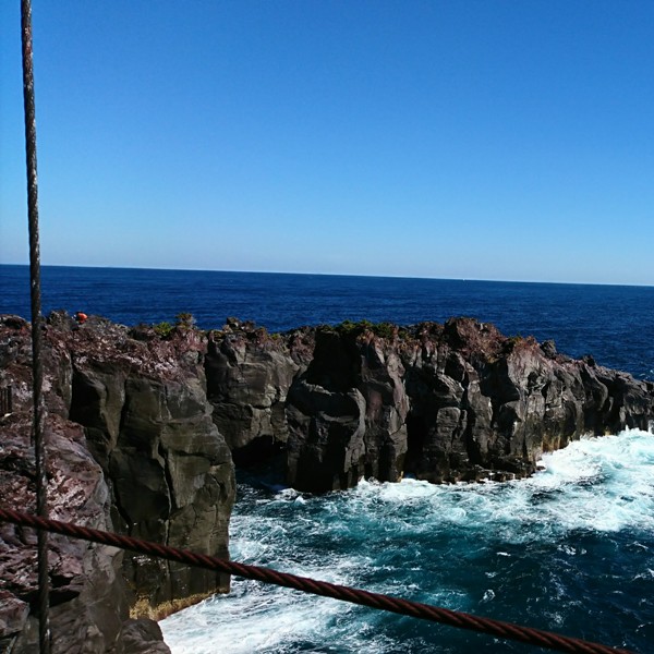 https://www.fco.co.jp/wp/wp-content/uploads/mt/staffblog/blog_images/20181107se-5.jpg