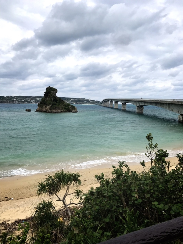 https://www.fco.co.jp/wp/wp-content/uploads/mt/staffblog/blog_images/aiko20181106-3.JPG