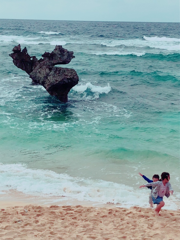 https://www.fco.co.jp/wp/wp-content/uploads/mt/staffblog/blog_images/aiko20181106-4.JPG