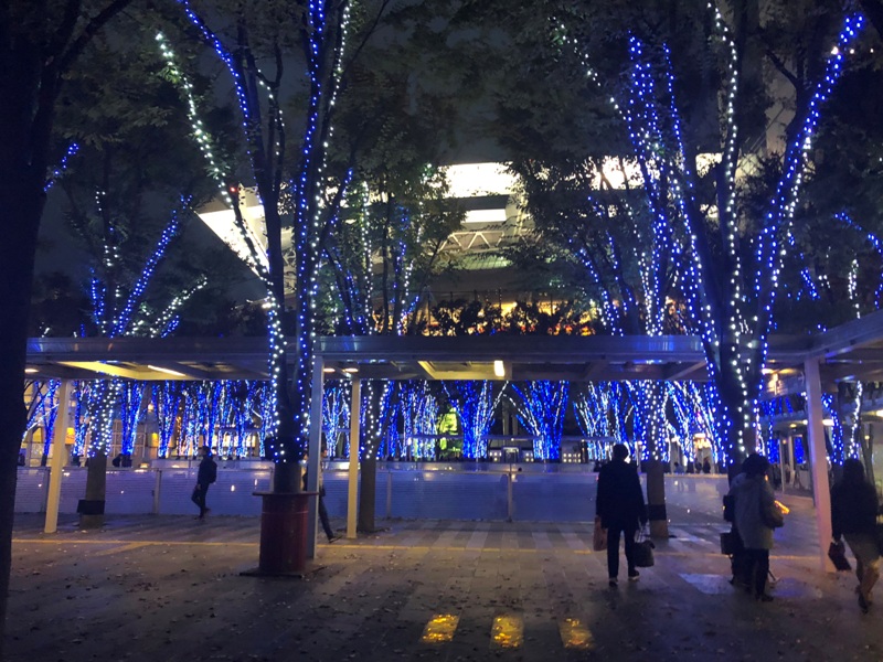 https://www.fco.co.jp/wp/wp-content/uploads/mt/staffblog/blog_images/shimu20181120-1.JPG